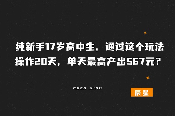 纯新手17岁高中生，通过这个玩法，操作20天，单天最高产出567元？-辰星