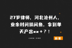 27岁律师，河北沧州人，业余时间搞闲鱼，拿到单天产出xx＋？！-辰星