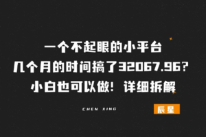 通过一个不起眼的小平台,几个月搞了32067.96?小白也可以做!详细拆解-辰星