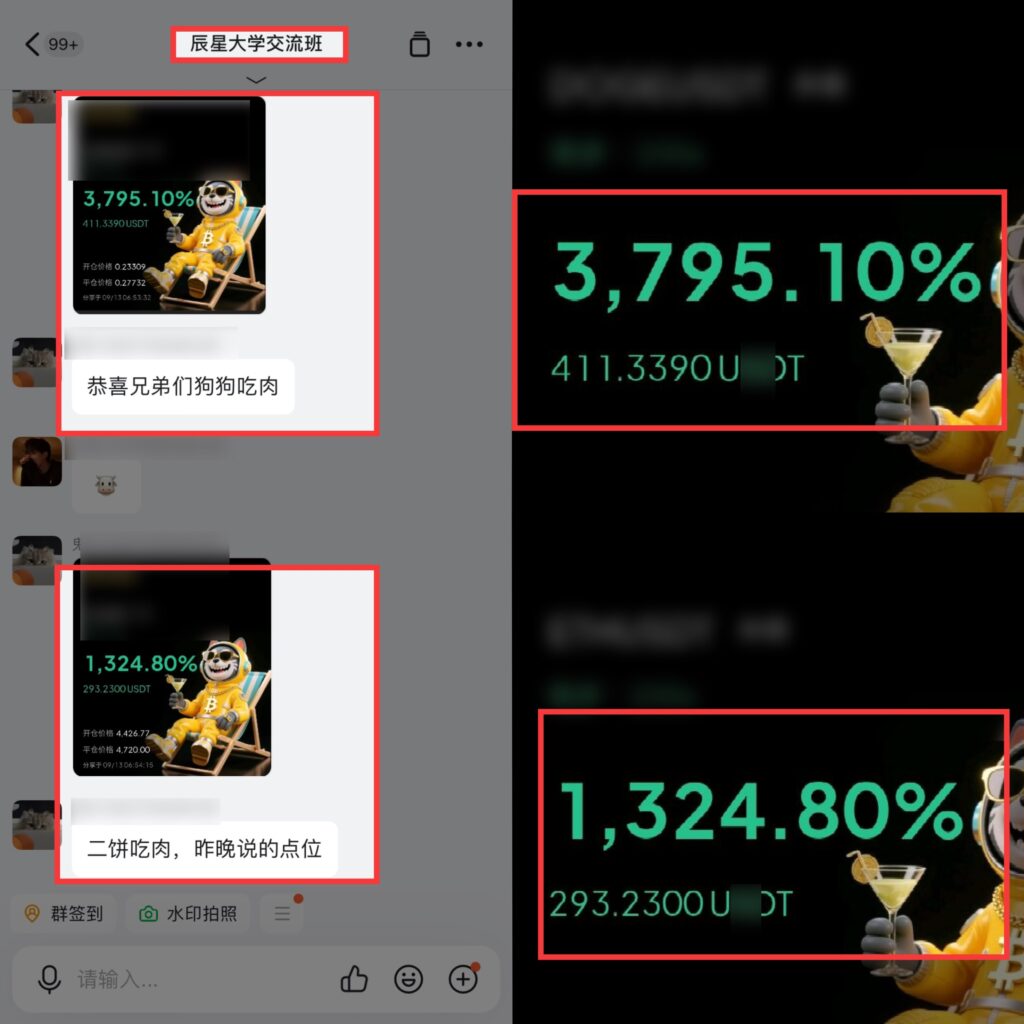 图片[56]-辰星团队-复利反馈图合集-辰星