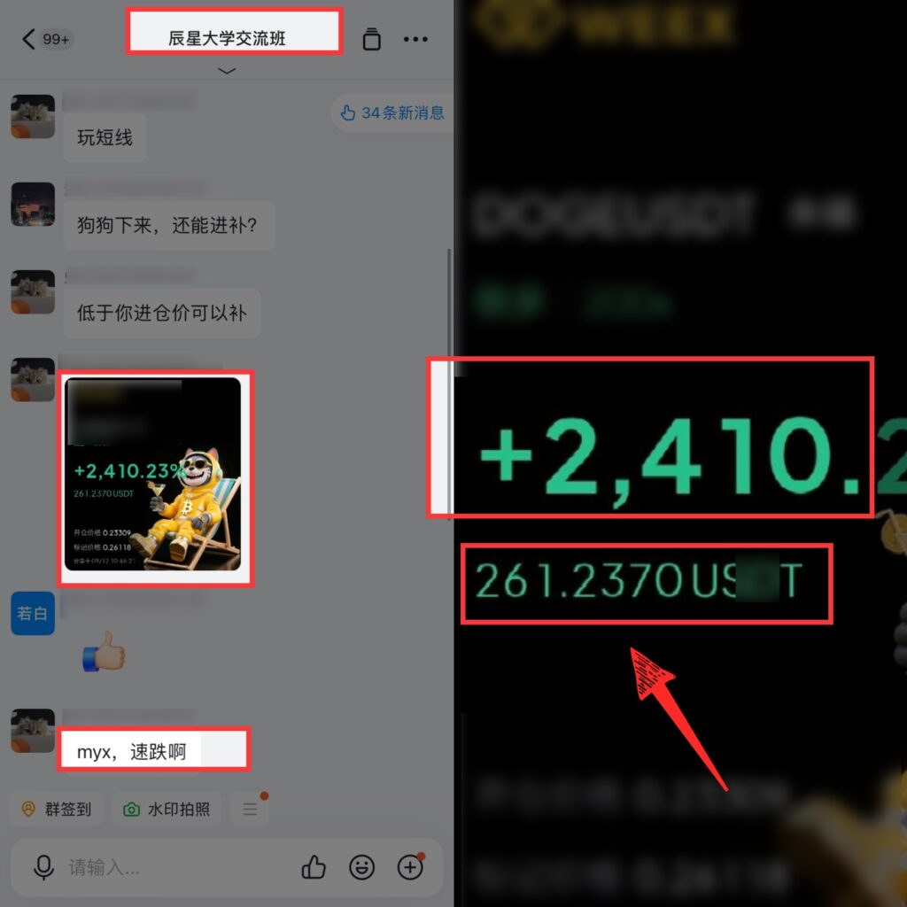 图片[77]-辰星团队-复利反馈图合集-辰星